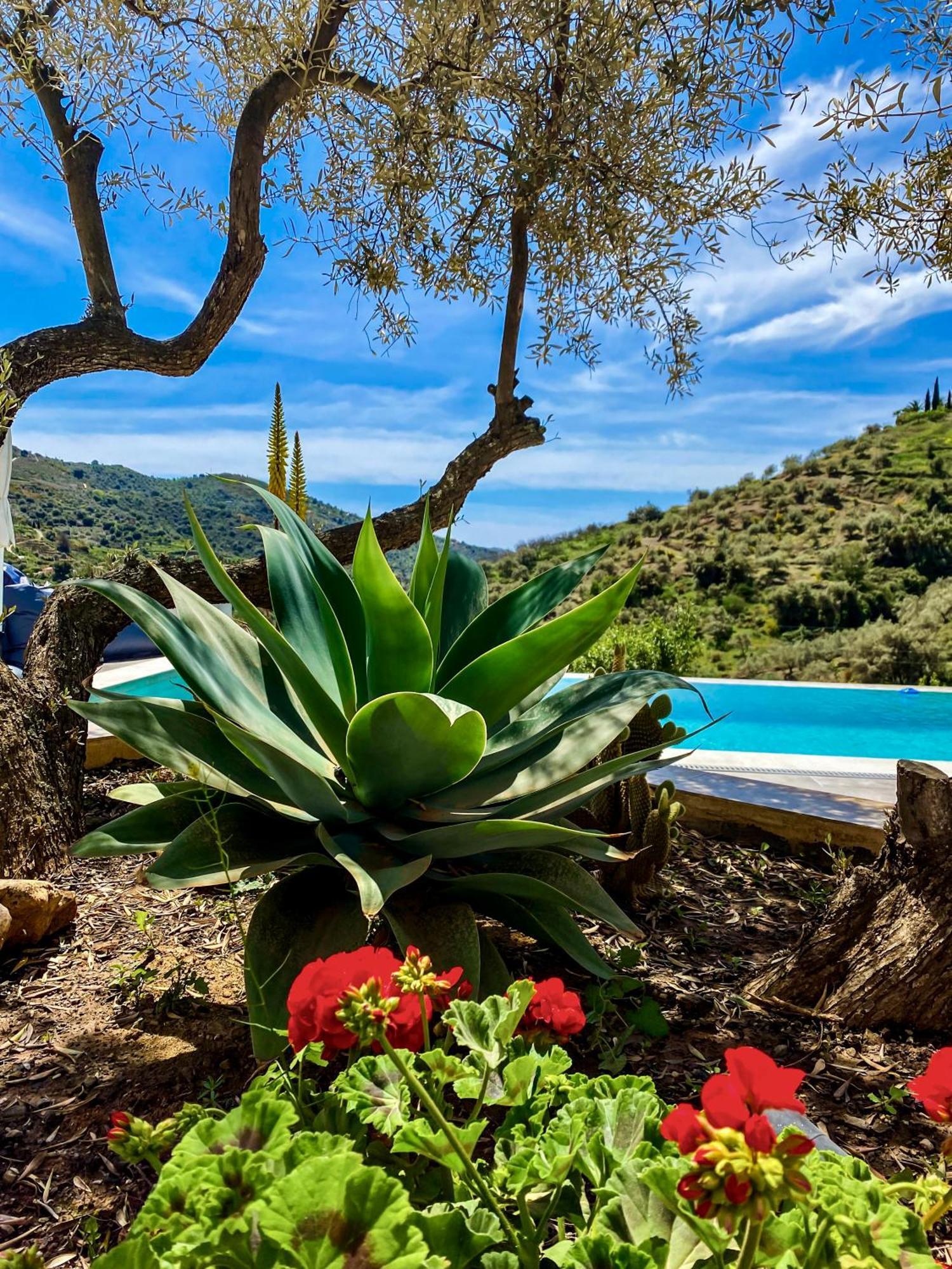 Las Filipinas, Apartment Lemoni Torrox Zewnętrze zdjęcie