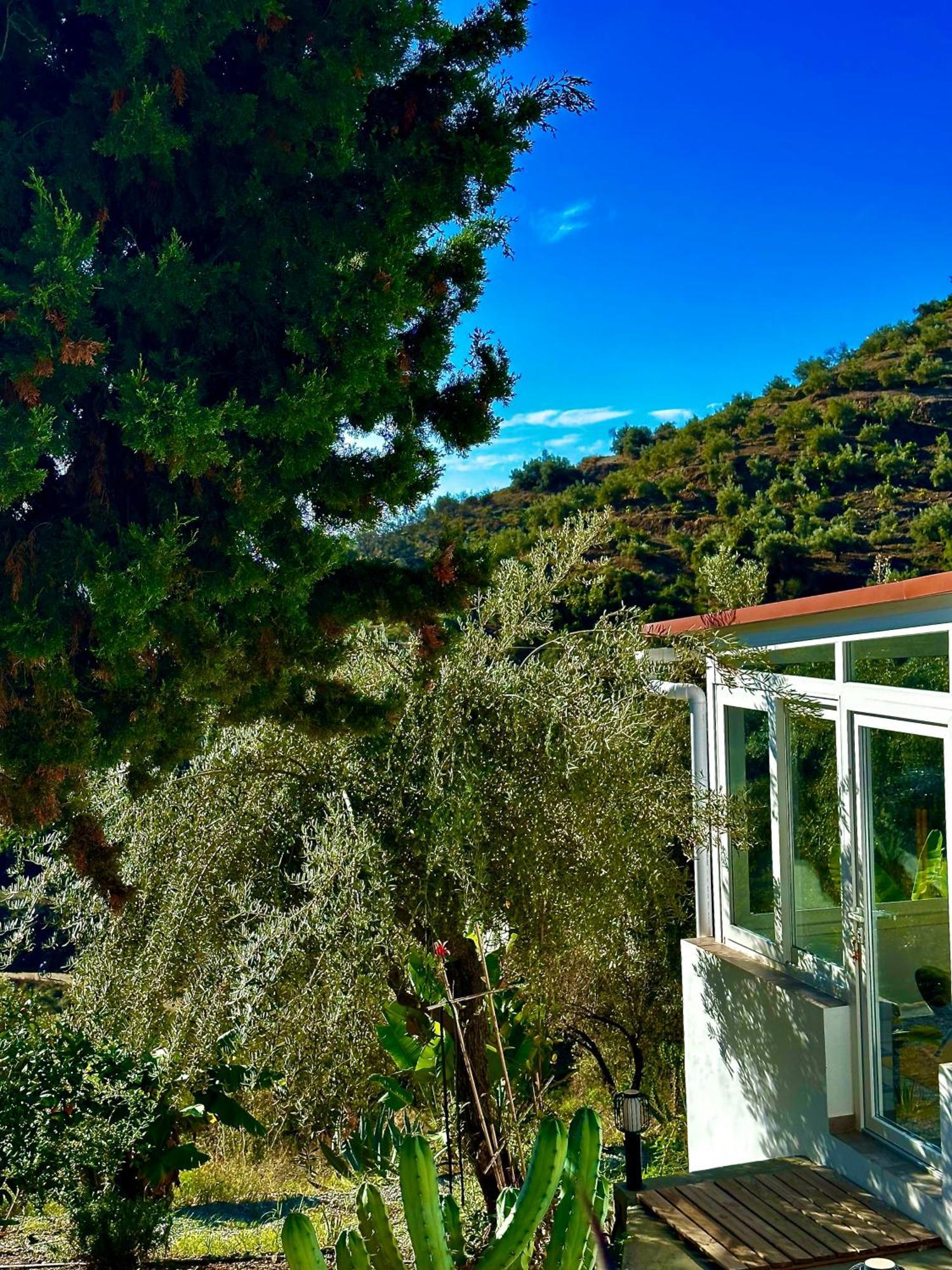 Las Filipinas, Apartment Lemoni Torrox Zewnętrze zdjęcie